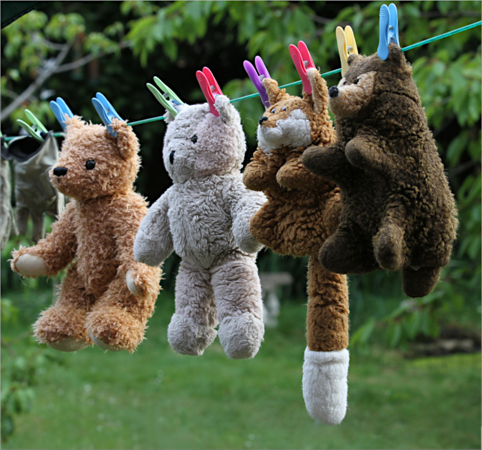 Recently washed teddy bears drying on a washing line